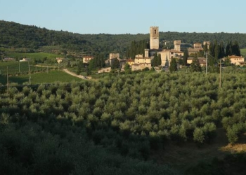 Доктор из Испании 20 лет прожил в итальянском лесу, пока его не нашли грибники