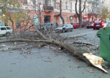 Сильный ветер повалил в Одессе трубы и деревья. Есть раненые