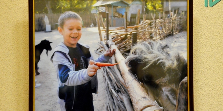 «Мама, зачем я в этом мире?»: в Николаеве открылась фотовыставка детей-инвалидов