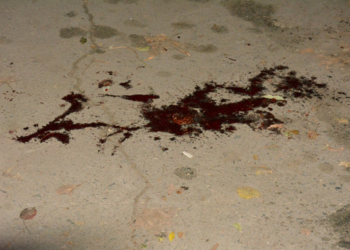 Официально о стрельбе в Корабельном районе