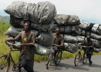 Заграница нам поможет: в январе-феврале Украина получит из ЮАР 170 тыс. тонн угля