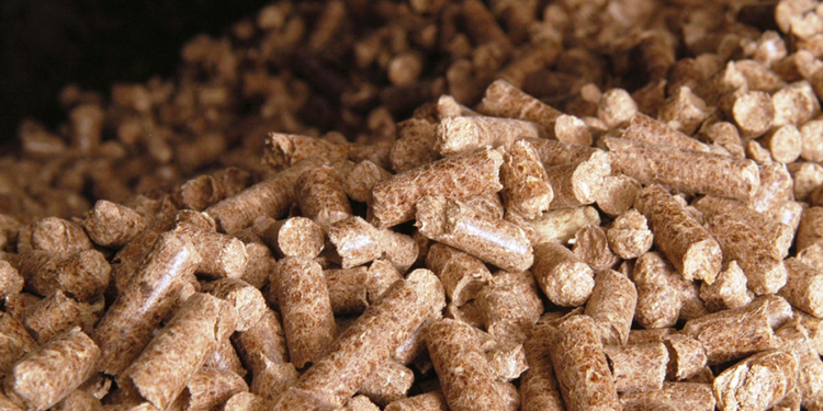 Отопление домов на пеллетах скоро будет стоит больше газа