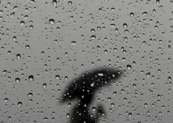 Синоптики заговорили об изменении климата в Украине: теперь летом дождей почти не будет