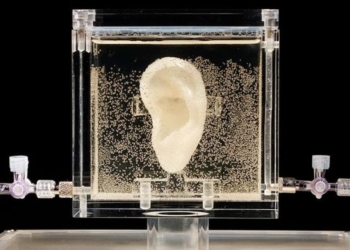 При помощи ДНК и компьютера воссоздали ухо Ван Гога