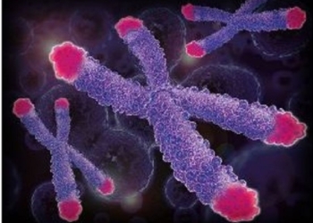 Генная диетология и не только. Теперь в Украине