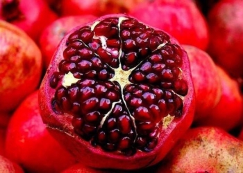 В Николаев пытались ввезти контрабандой свыше 2,5 тонн гранатов