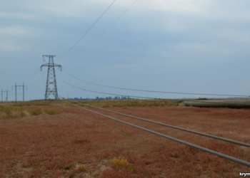 В Крыму вводятся графики отключения, своей энергией полуостров может обеспечить себя на 30%