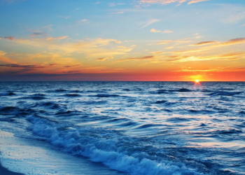 У дамы, которая хотела построить дачу в Рыбаковке на берегу моря, отобрали земельный участок