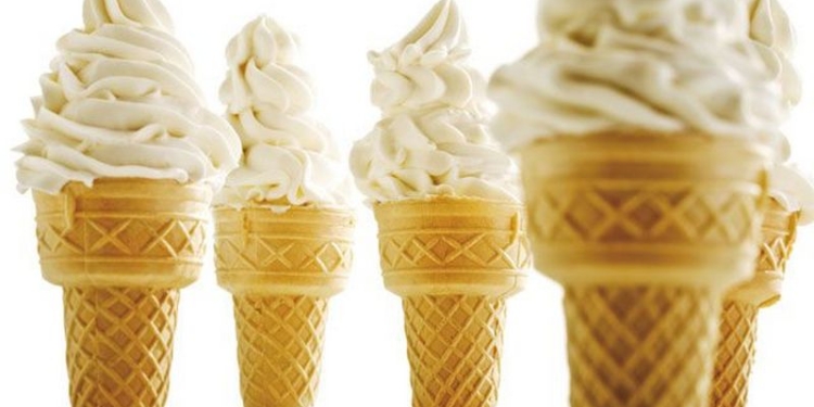 На Николаевщине разбойники забрали у предпринимательницы не только деньги и бытовую технику, а и морозильную камеру с мороженым