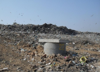 В Николаеве незначительно уменьшили нормы вывоза твердых бытовых отходов для горожан