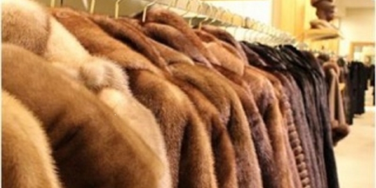 Губа не дура: супруги из Херсона украли в магазине в Николаеве норковую шубу и пуховик