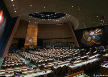 Украина, США и Канада не поддержали резолюцию ООН против героизации нацизма