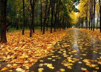 Погода на завтра: без существенных осадков и до -12 по Украине