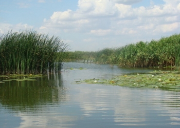 В Херсонской области создан национальный природный парк «Нижнеднепровский» – Порошенко подписал соответствующий Указ