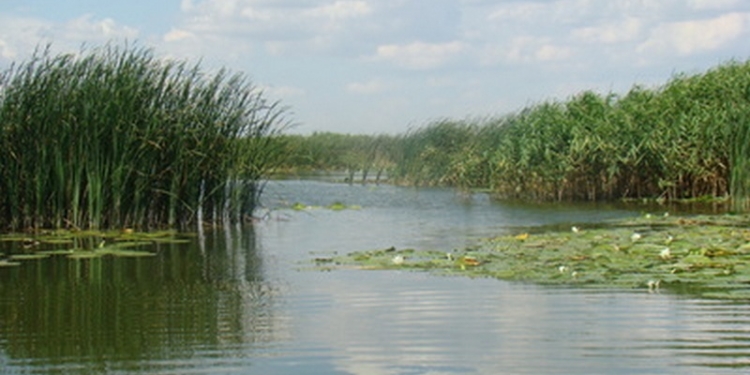 В Херсонской области создан национальный природный парк «Нижнеднепровский» – Порошенко подписал соответствующий Указ