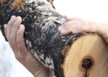 Пьянству – бой до смерти. За попытку обменять картошку на водку женщина получила поленом по голове