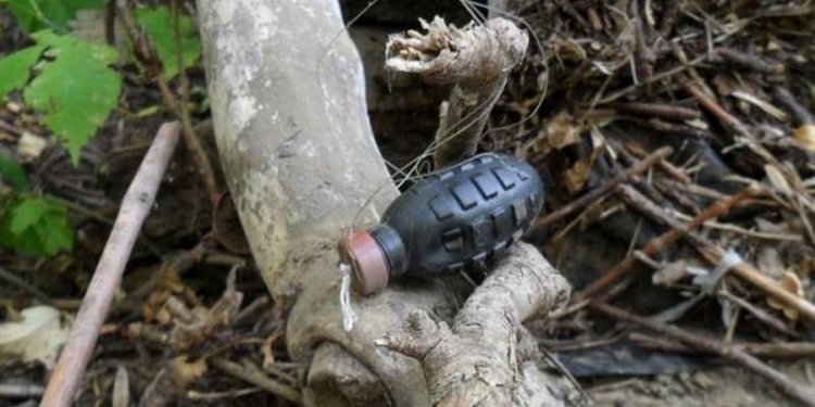 В Золотом Луганской области два бойца АТО подорвались на растяжке – их состояние тяжелое, но стабильное