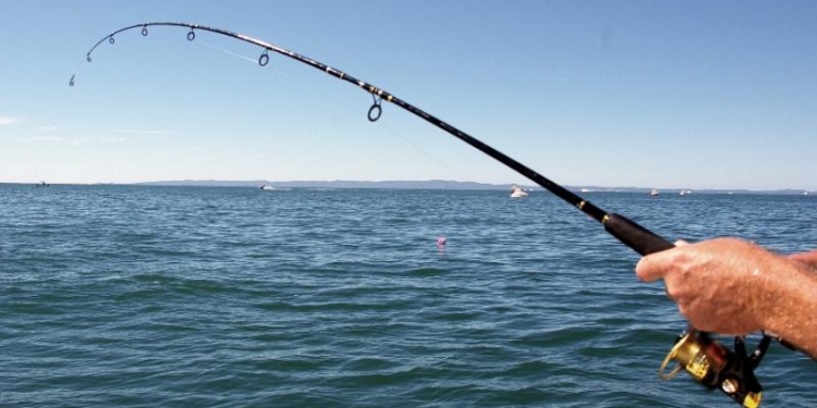 Где с 20 ноября нельзя ловить рыбу в Николаевской области (ПЕРЕЧЕНЬ)