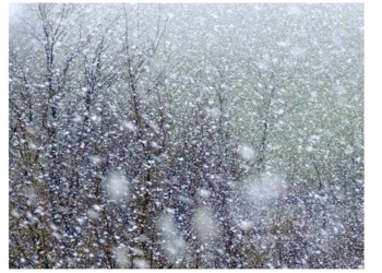 Погода на завтра: без существенных осадков и до -12 по Украине