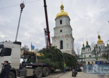 На Софийской площади в Киеве установили главную новогоднюю елку Украины