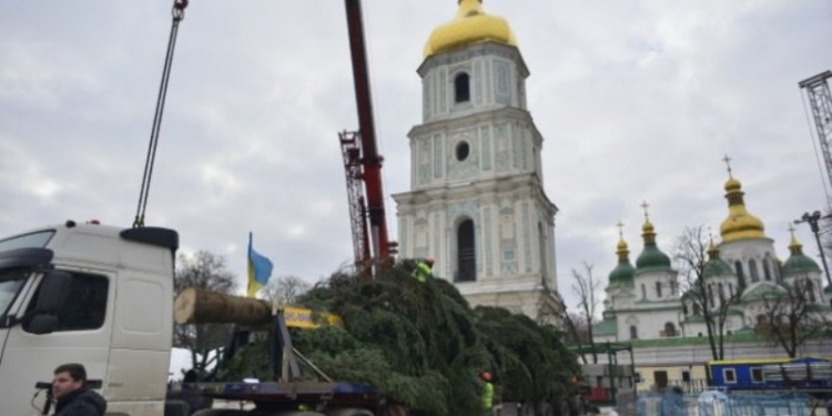 На Софийской площади в Киеве установили главную новогоднюю елку Украины