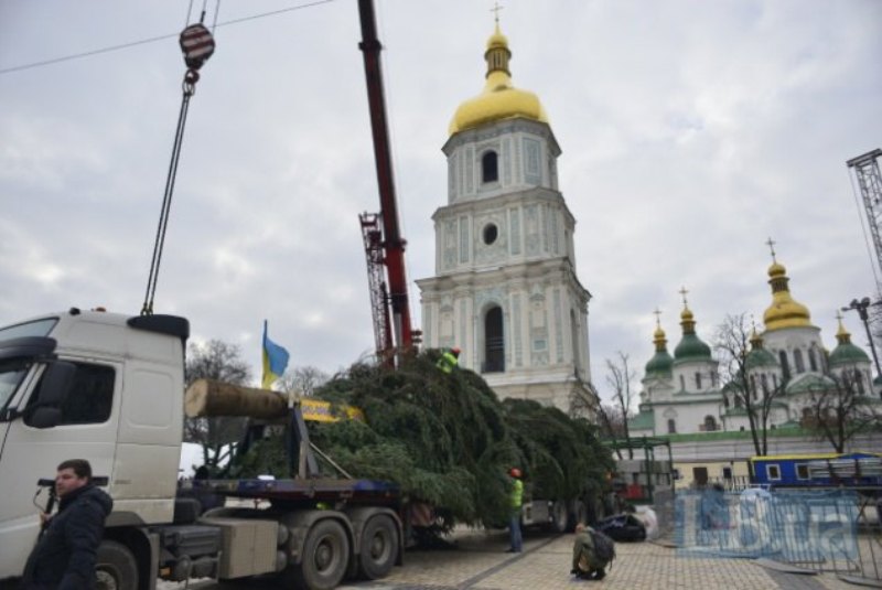 На Софийской площади в Киеве установили главную новогоднюю елку Украины 6