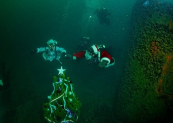 На дне моря у побережья Одессы дайверы установили и украсили новогоднюю елку