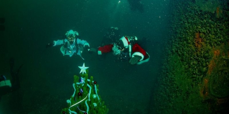 На дне моря у побережья Одессы дайверы установили и украсили новогоднюю елку