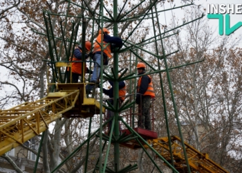 В Николаеве начали устанавливать новогоднюю елку