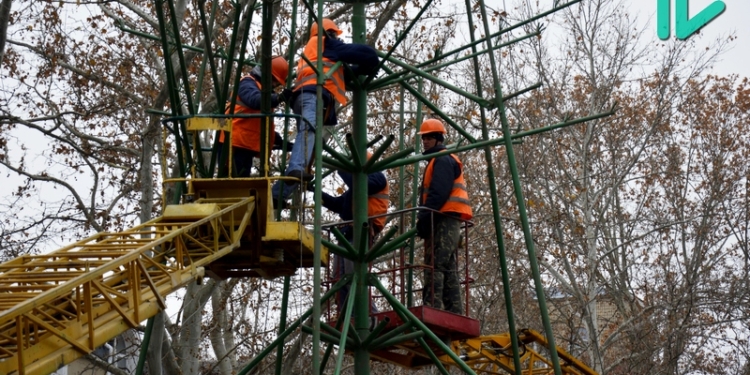 В Николаеве начали устанавливать новогоднюю елку
