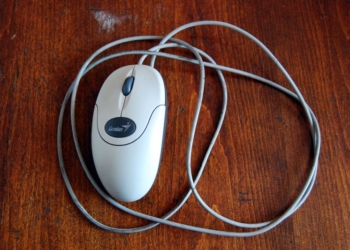 Забравшегося в ветеринарную клинику в Николаеве вора определили по… мышке