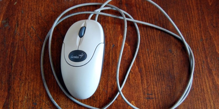 Забравшегося в ветеринарную клинику в Николаеве вора определили по… мышке