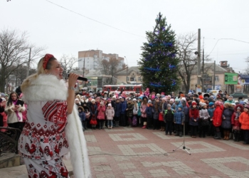 В Николаеве первая новогодняя елка открылась у зоопарка