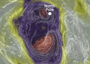 Аномальное потепление: на Северном полюсе — плюсовая температура