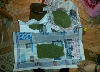 В Заводском районе Николаева изъято 6 г амфетамина и 1 кг конопли – приблизительно на 35 тыс.грн.