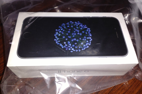 Телефон, да не тот. В Николаеве парень продавал iPhone 6. Но “продешевил”