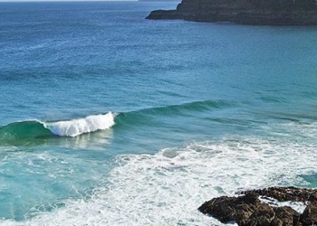 У берегов Австралии нашли морских змей, которые считались вымершими