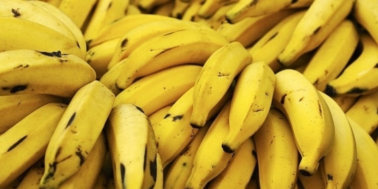 Бананы оказались под угрозой исчезновения – посевы уничтожает грибок