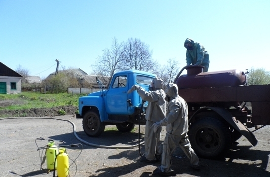Еще в одном районе Николаевщины зафиксирован случай африканской чумы свиней