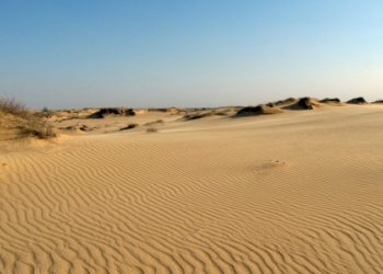 Нацпарк “Олешковские пески” из Херсонской области жалуется на захват территории военными