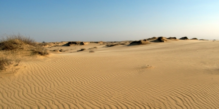 Нацпарк “Олешковские пески” из Херсонской области жалуется на захват территории военными