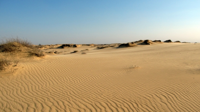 Нацпарк "Олешковские пески" из Херсонской области жалуется на захват территории военными 1
