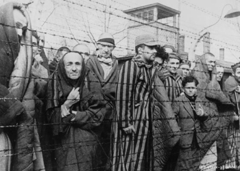 Санитар из Освенцима, доживший до 95 лет, предстанет перед судом