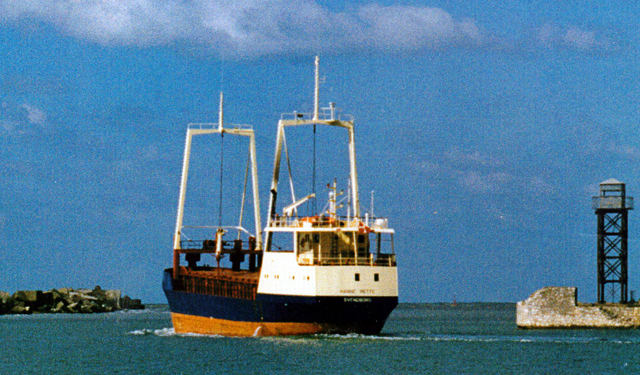 Жители грузинского Поти протестовали из-за невыносимого запаха рыбы