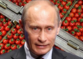 Помидорами не отделаетесь: зачем Путин продолжает конфликт с Турцией