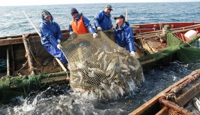 Вылов рыбы в Украине за 11 месяцев упал на 12,4%