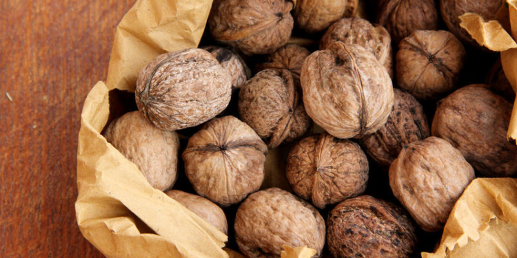 В Николаевской области граждане Турции разругались из-за грецких орехов