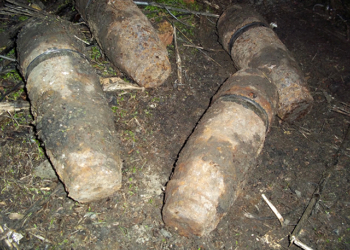 «Урожайная» Петровка: на Николаевщине обезвредили 21 артснаряд и 6 взрывателей