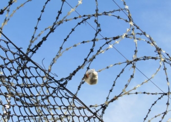 Видит око, да зуб неймет: пакет с коноплей и прочими излишествами зацепился за колючую проволоку в зоне ограждения Ольшанской колонии