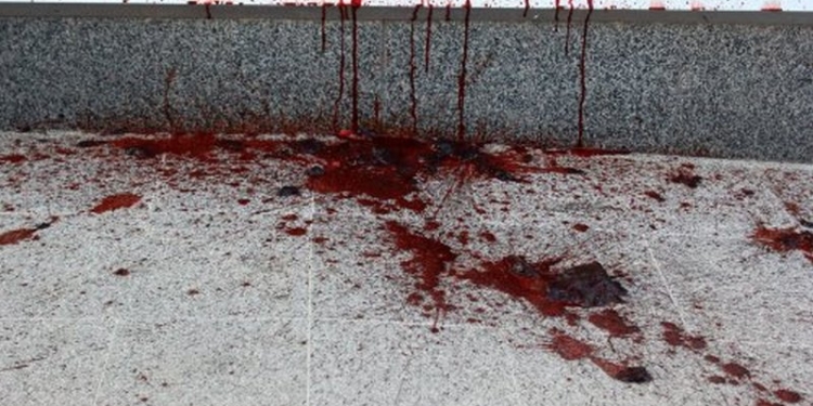 Магазин Roshen во Львове облили свиной кровью